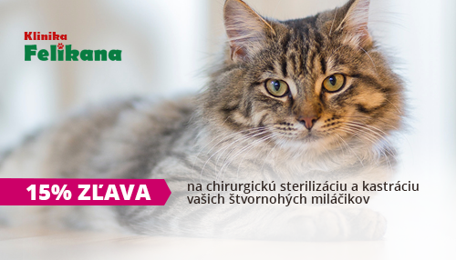 Január, február - zľava 15% na preventívnu sterilizáciu