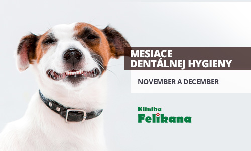 Mesiace dentálnej hygieny - november a december