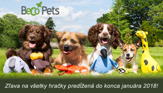 Zľava 15% na všetky hračky predĺžená do konca januára!