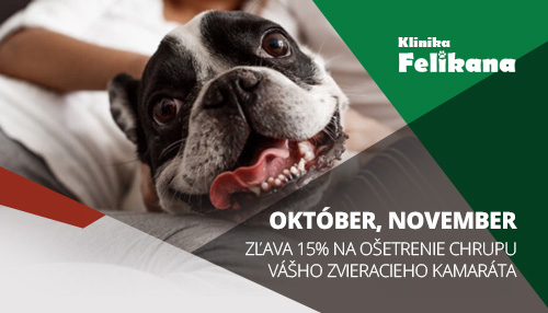 Október, November- zľava 15% na ošetrenie chrupu Vášho zvieracieho kamaráta