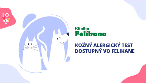 Kožný alergický test dostupný vo Felikane!