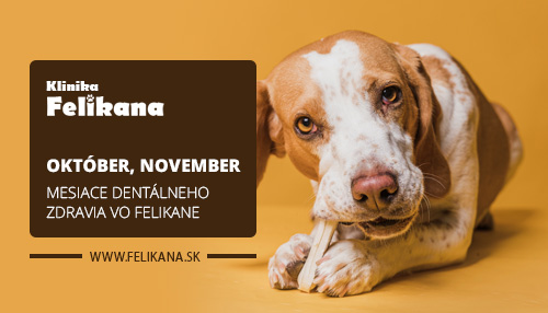 Október, november - mesiace dentálneho zdravia vo Felikane