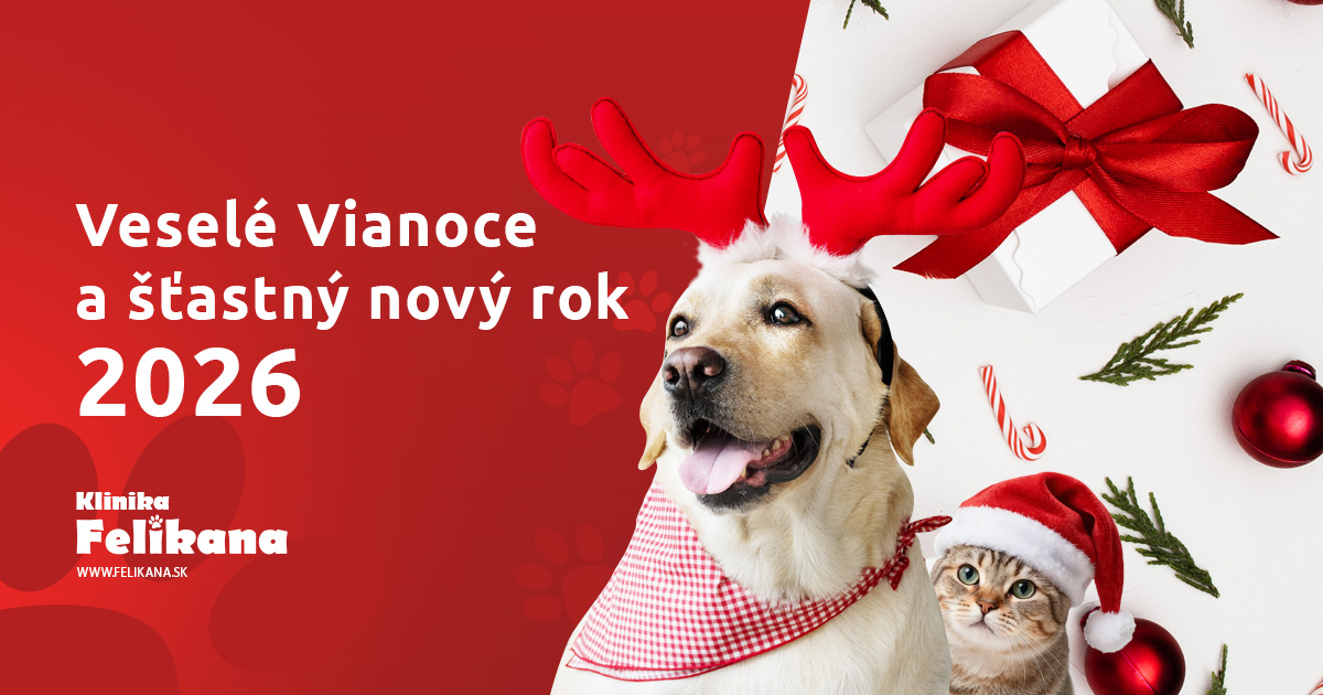 Ordinačné hodiny počas vianočných sviatkov