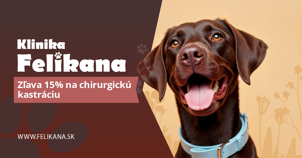 Január, február - 15 % zľava na chirurgickú kastráciu