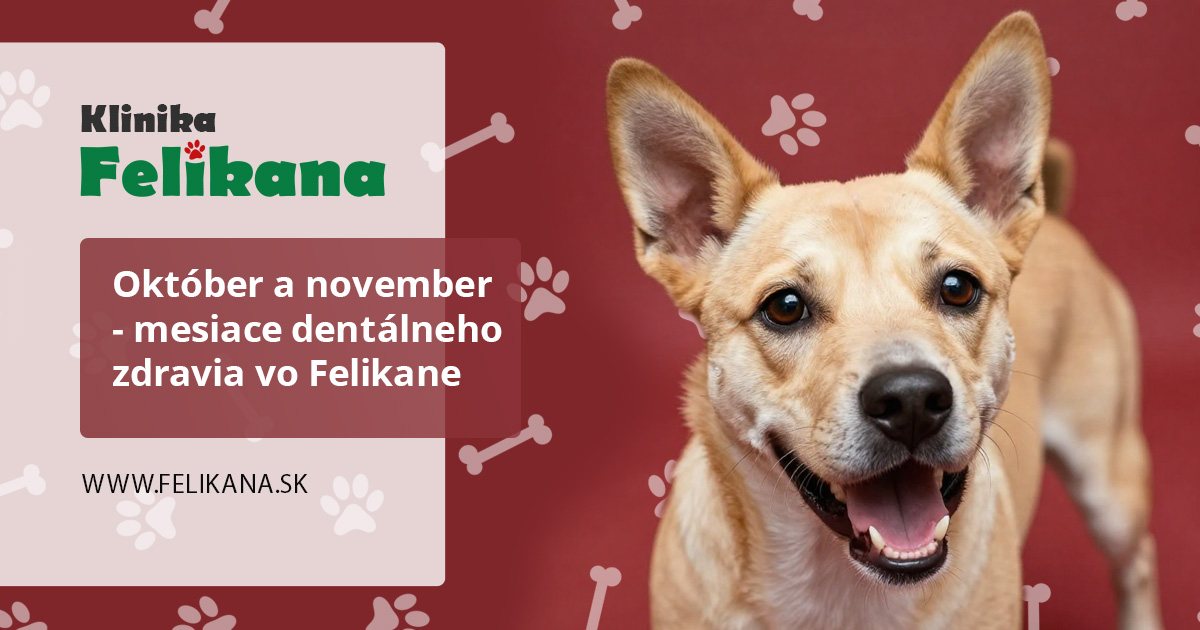 Október a november - mesiace dentálneho zdravia vo Felikane