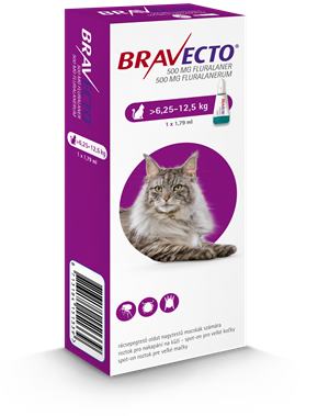 Bravecto Cat L 500 mg spot-on roztok pre veľké mačky ( od 6,25 do 12,5 kg ) 1 x 1,79 ml