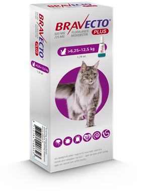 Bravecto Cat Plus L 500 mg / 25 mg spot-on roztok pre veľké mačky ( >6,25-12,5 kg )