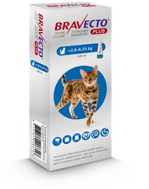 Bravecto Cat Plus M 250 mg / 12,5 mg spot-on roztok pre stredne veľké mačky ( >2,8-6,25 kg )