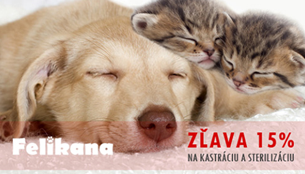 Zľava 15% na kastráciu a sterilizáciu 